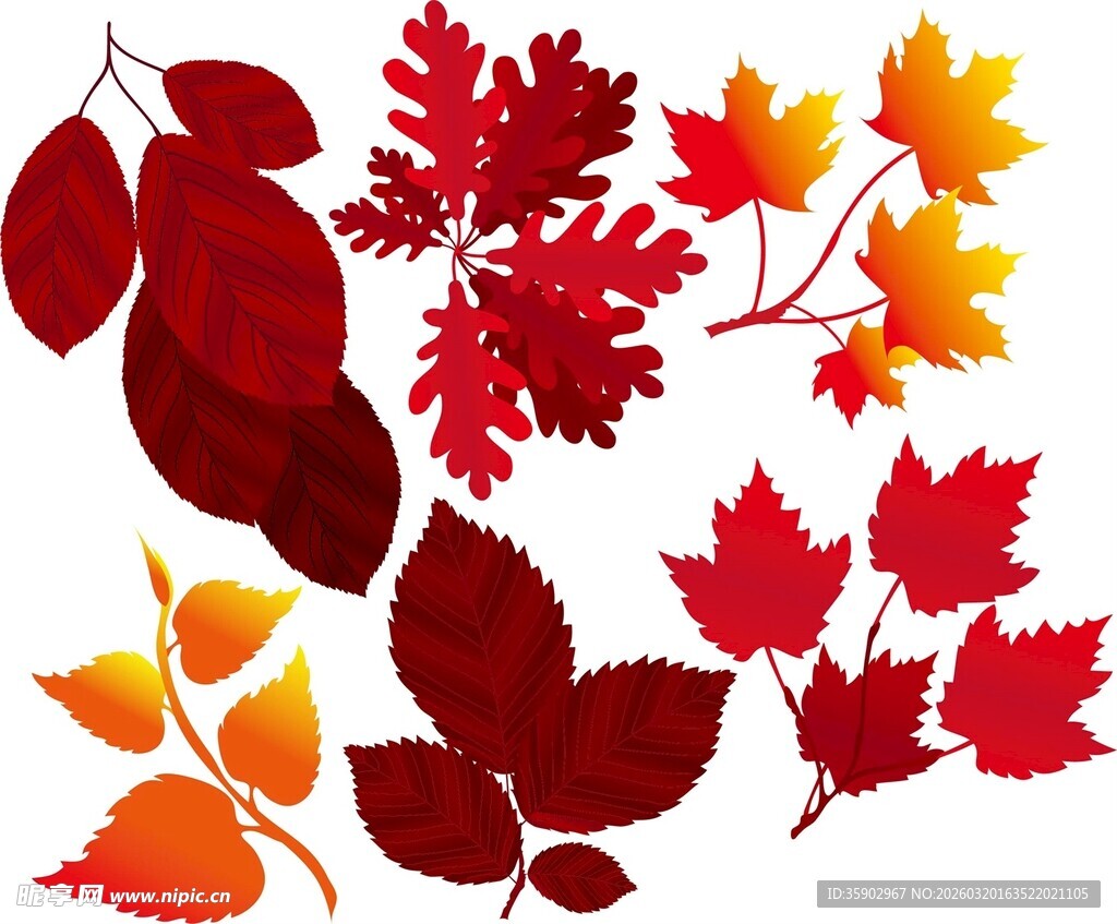 多彩秋叶图案组图