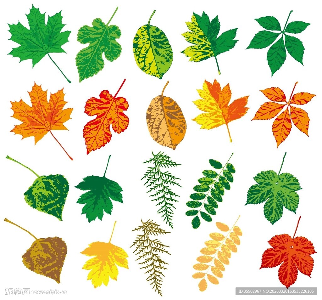 多彩秋叶集合