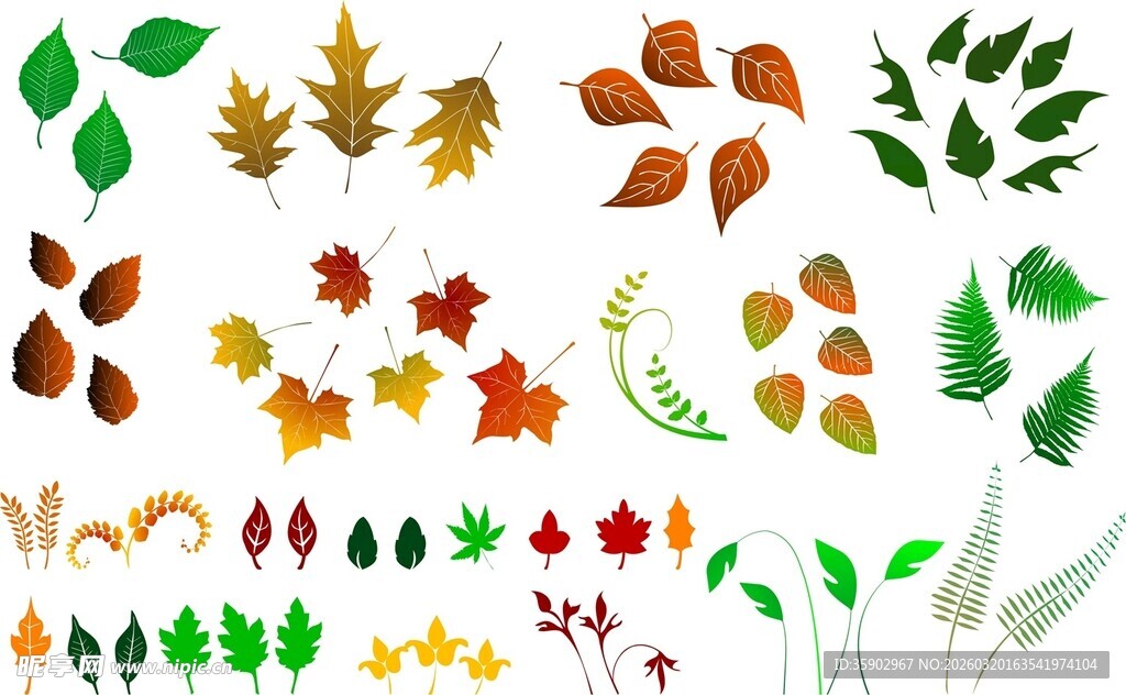 多彩秋叶素材集合