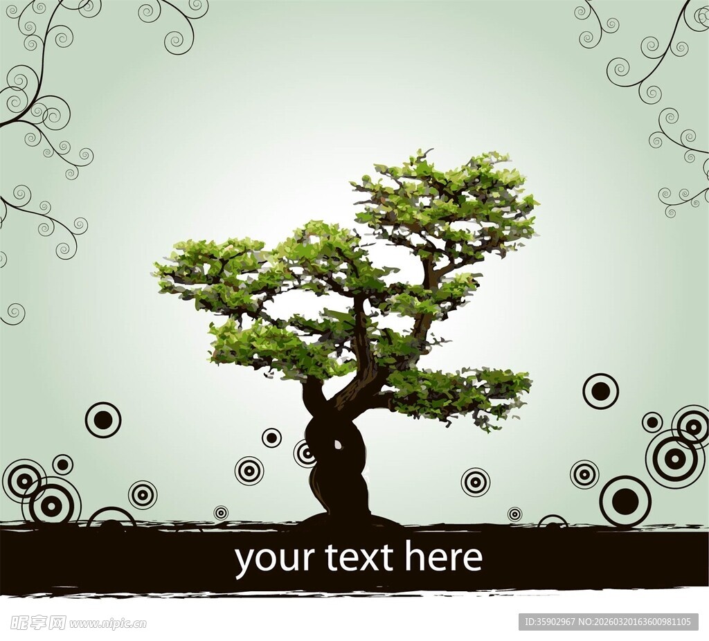 优雅盆景树自然艺术之美