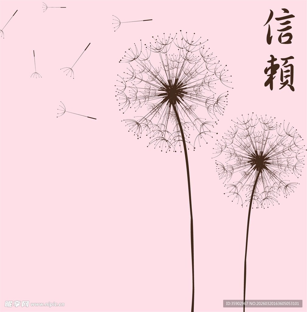 粉色背景下的蒲公英与信赖