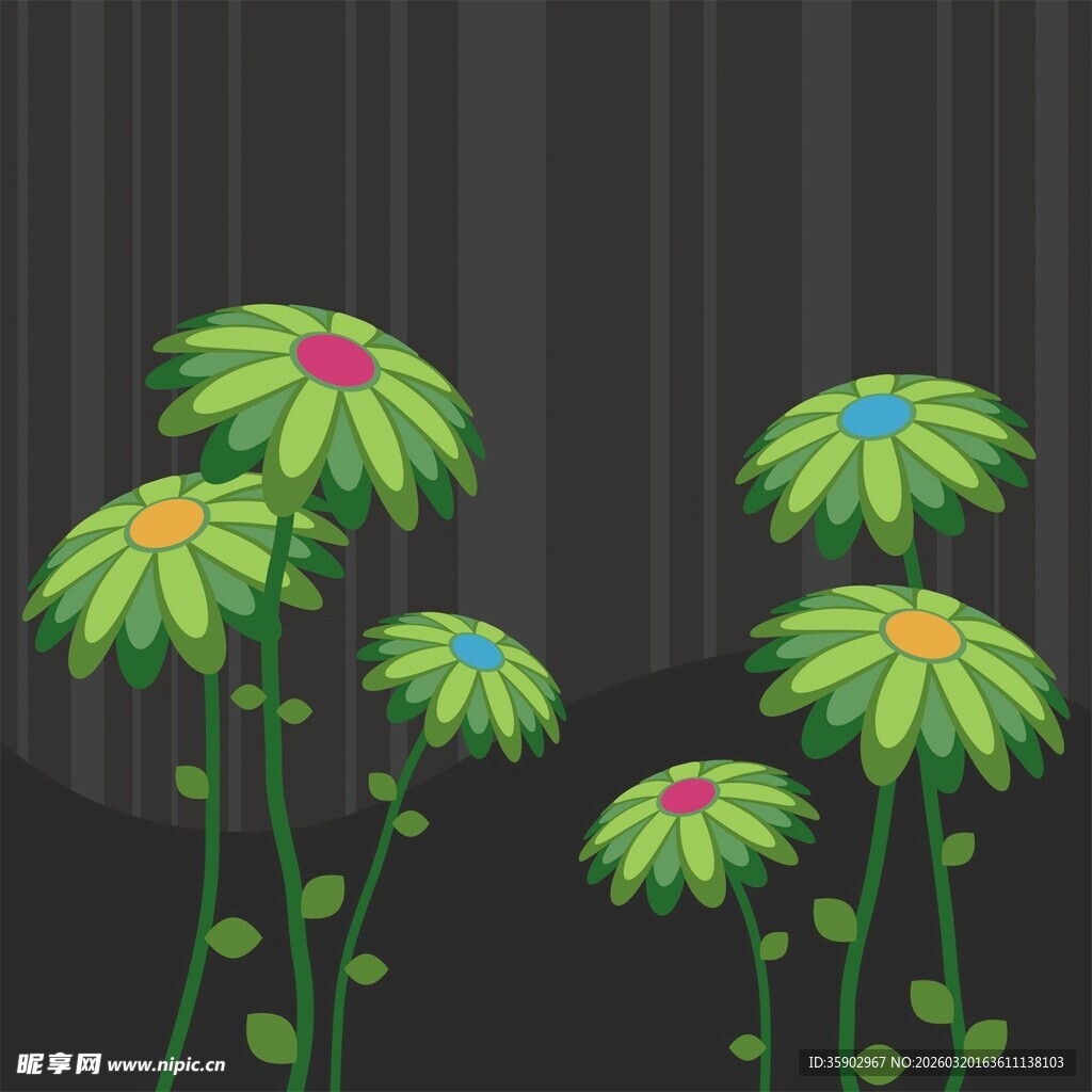 黑色背景下的多彩花朵