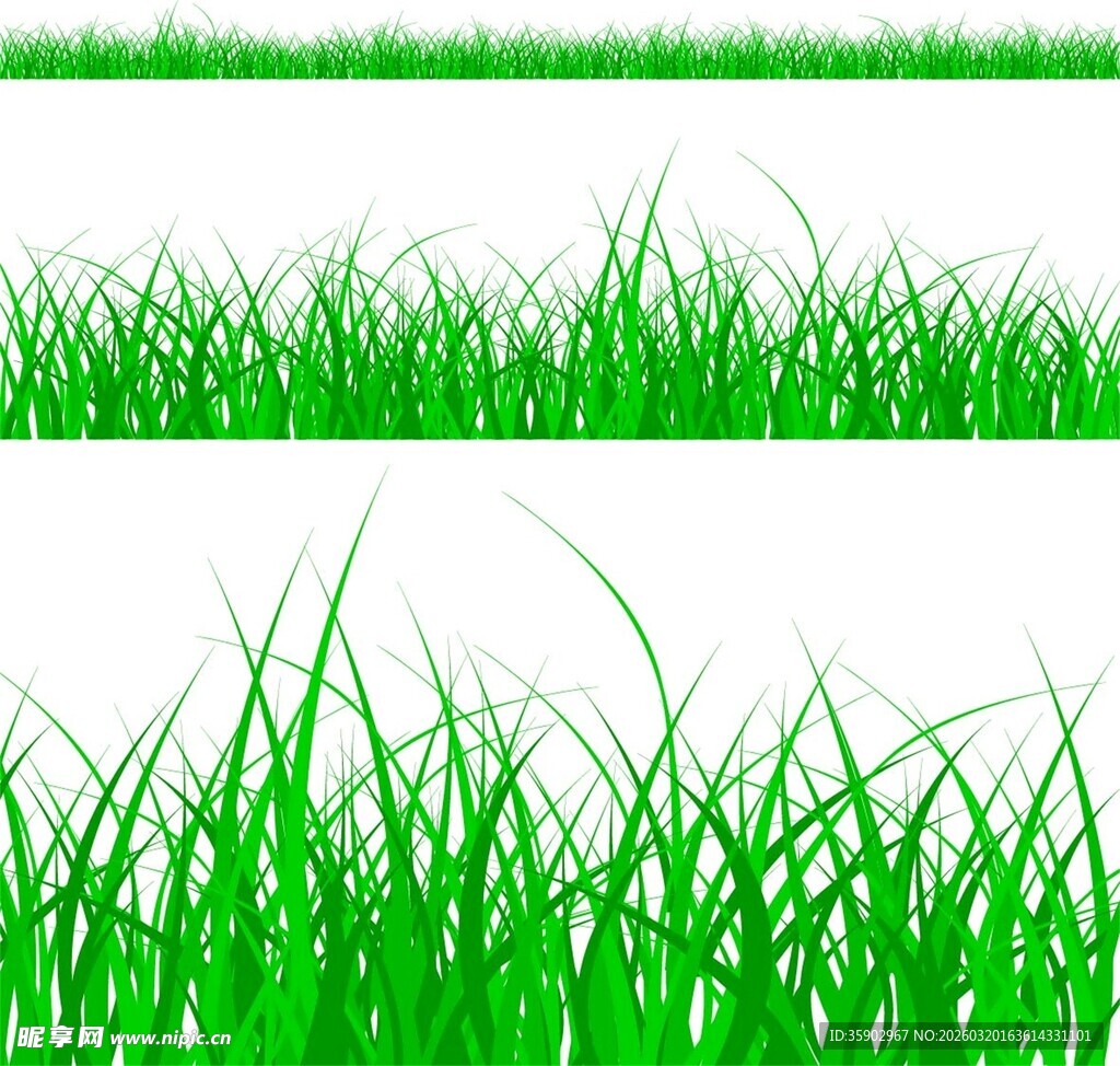 清新嫩绿草丛背景图