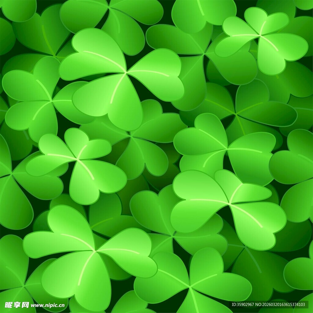 翠绿三叶草生机满满