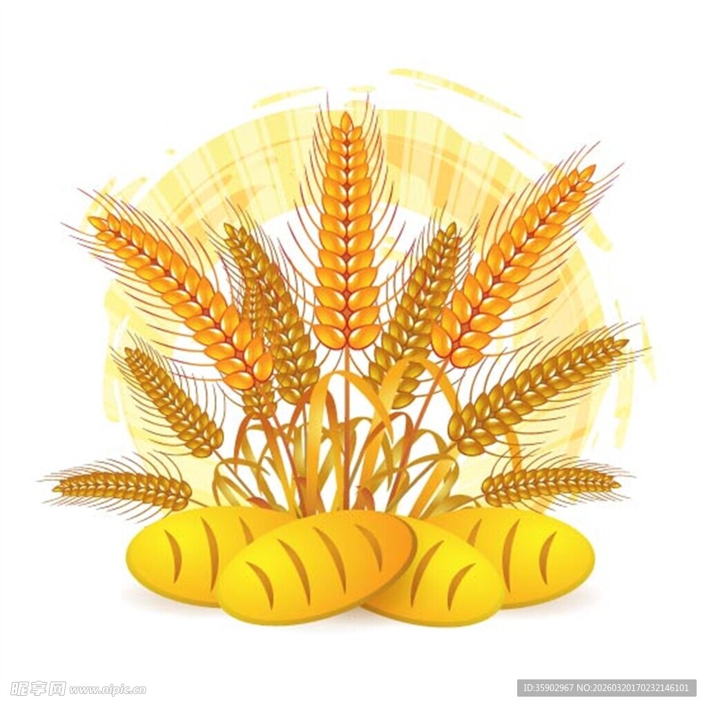 金黄麦穗与新鲜面包