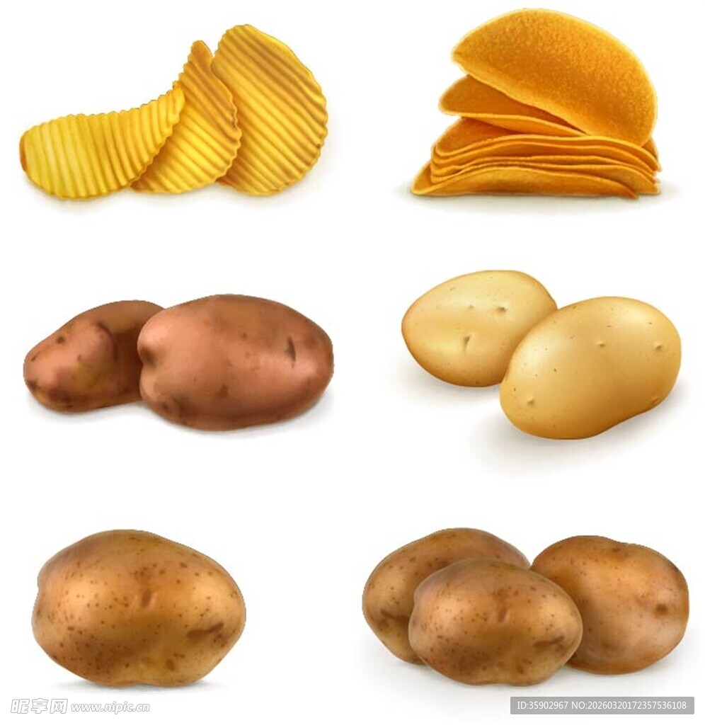 多样土豆与薯片展示