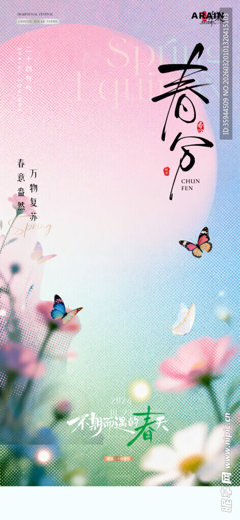 春日花草蝴蝶诗意美景