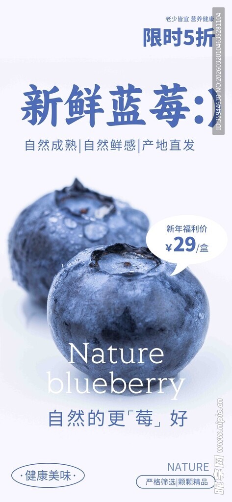 新鲜蓝莓  开启健康好滋味