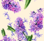 紫色风信子花卉图案
