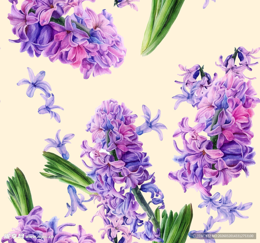 紫色风信子花卉图案