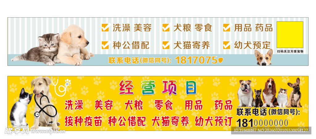 宠物海报