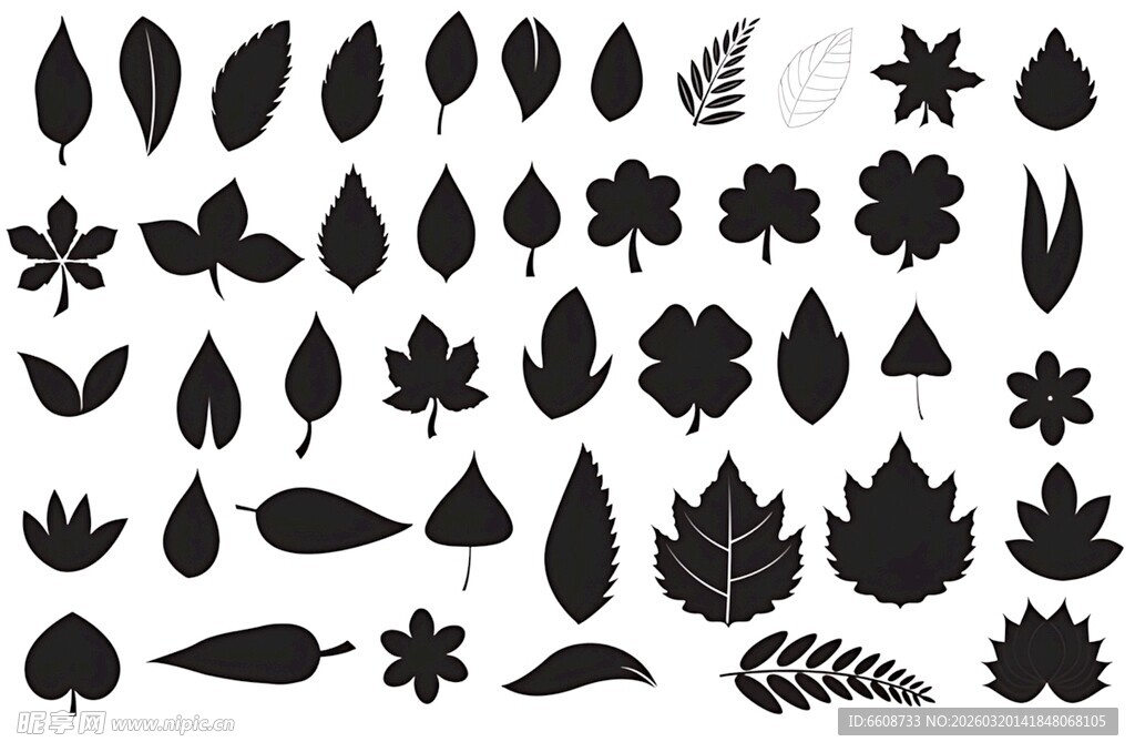 多样树叶剪影集合