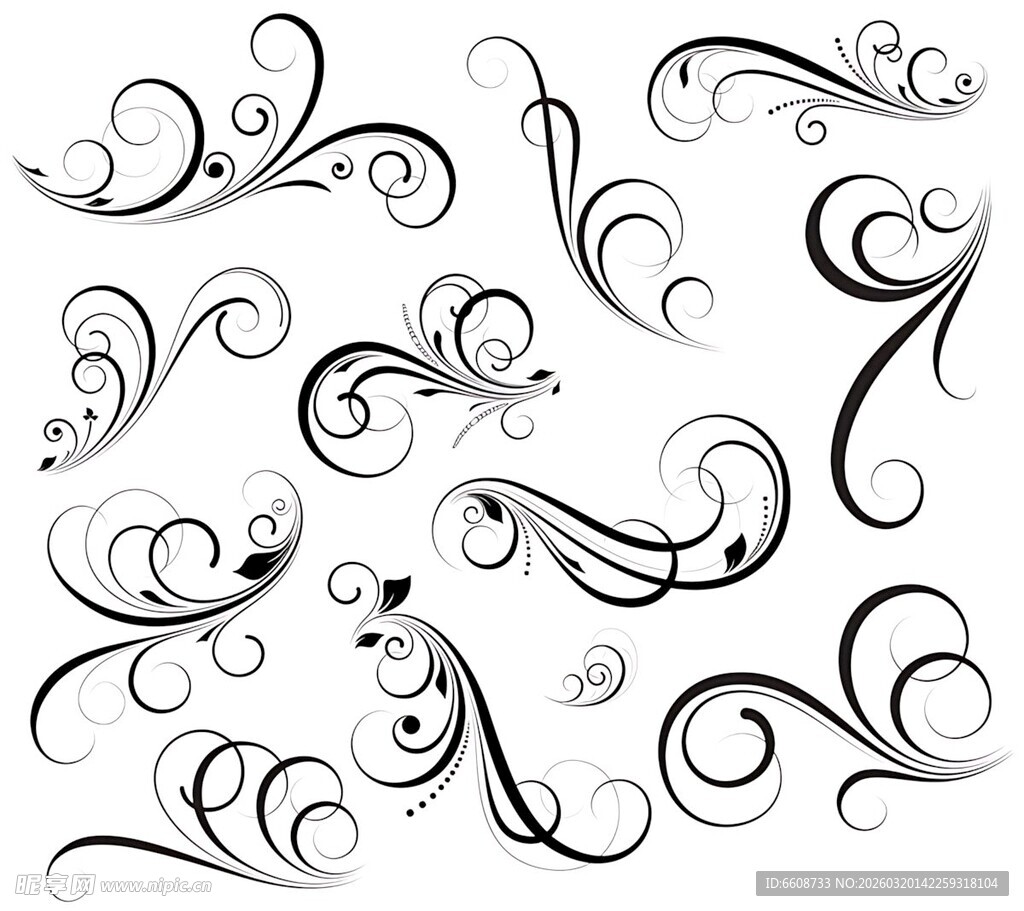 精美黑白装饰花纹图案