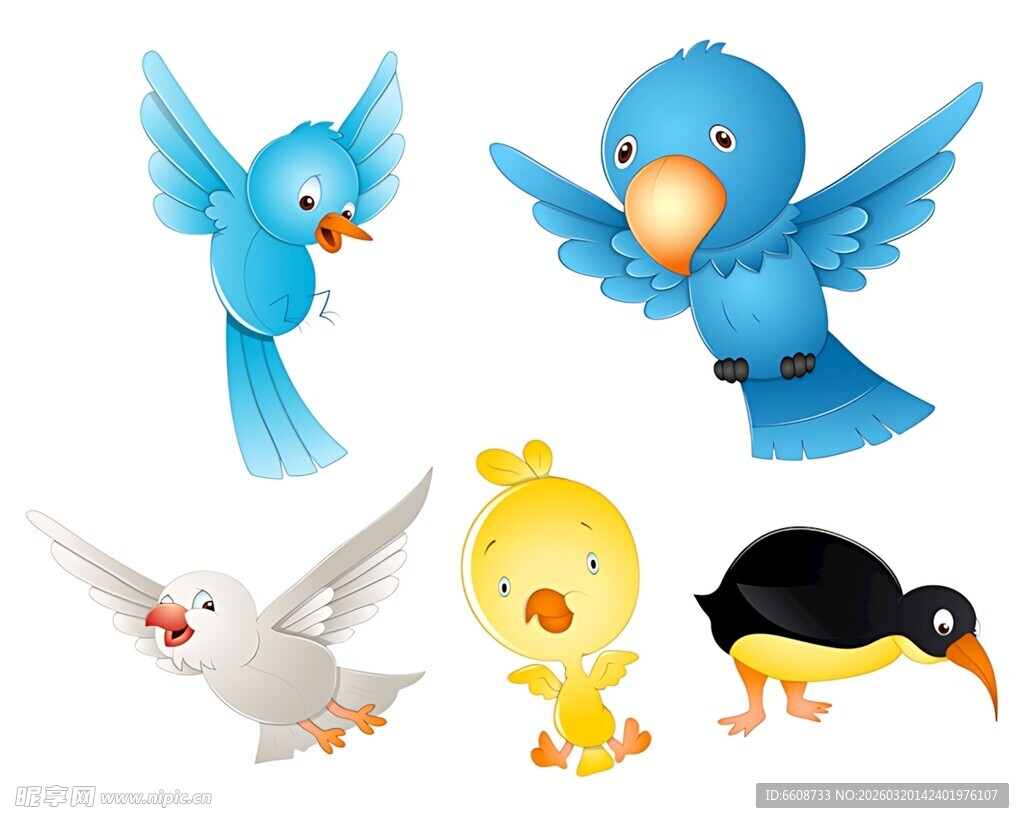 可爱多彩的鸟类集合