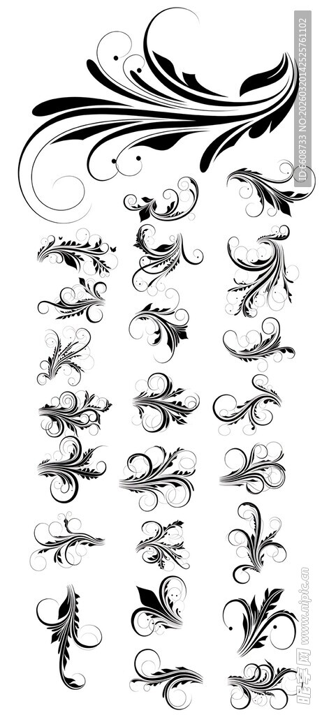 多样精致花纹图案集合