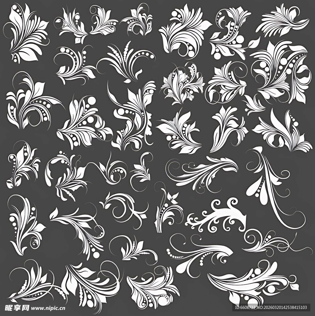 黑白花卉装饰图案素材