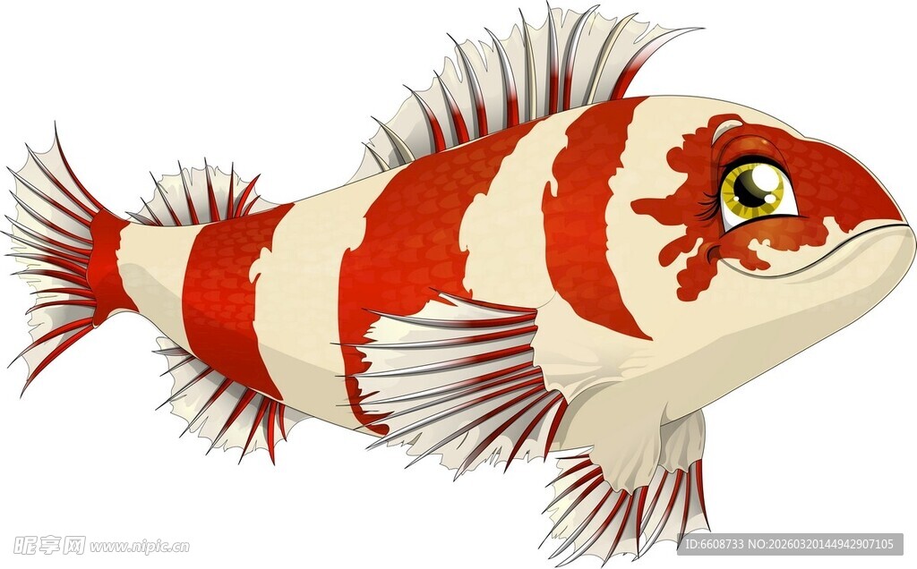 红白条纹可爱小鱼