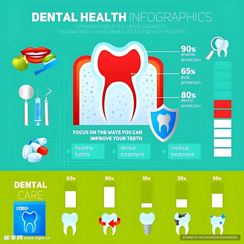 牙齿健康信息图表