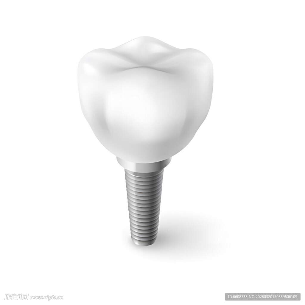 种植牙模型展示
