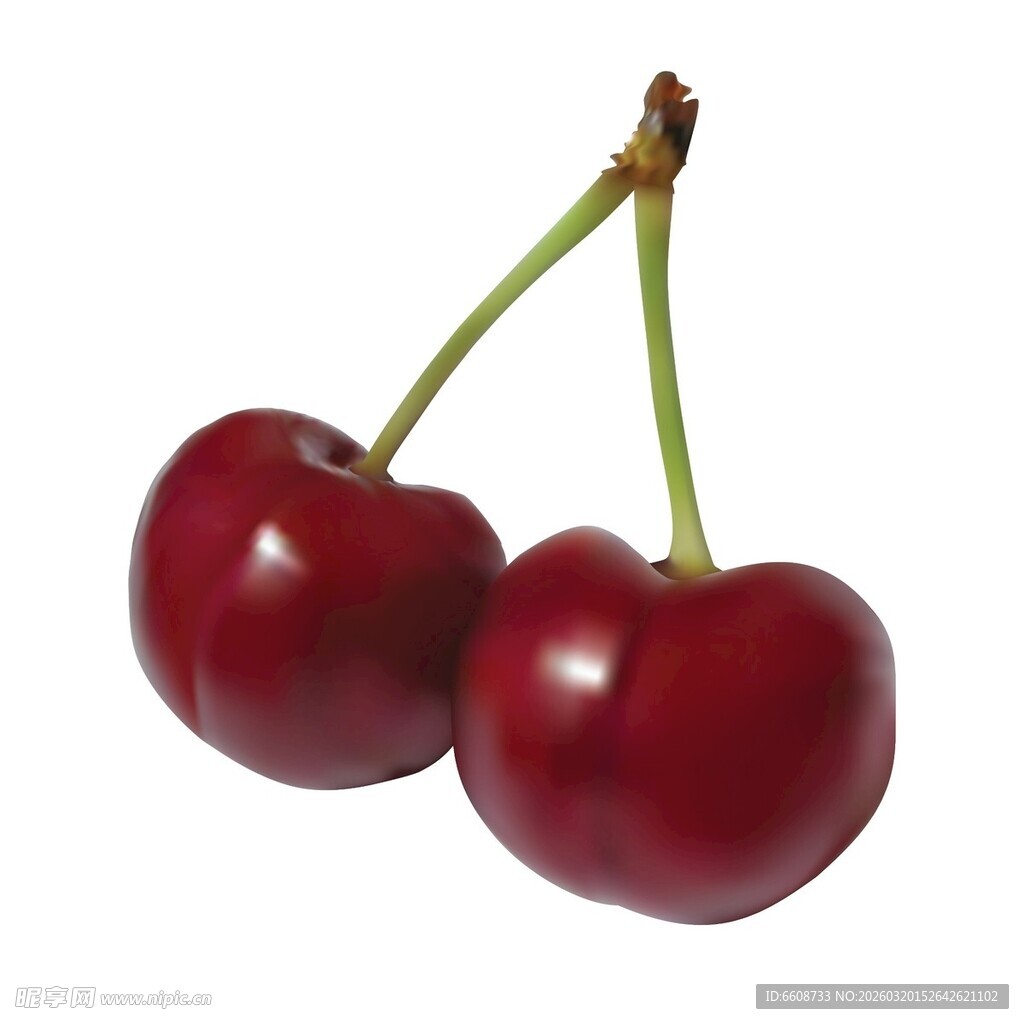 两颗鲜红饱满的樱桃
