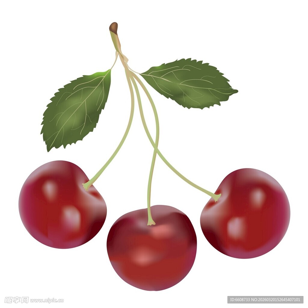 三颗鲜红樱桃带绿叶