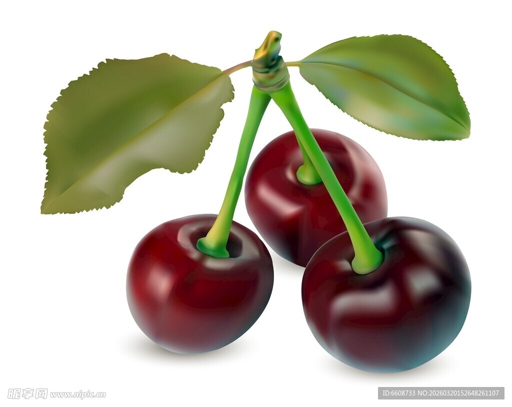 新鲜欲滴的三颗樱桃