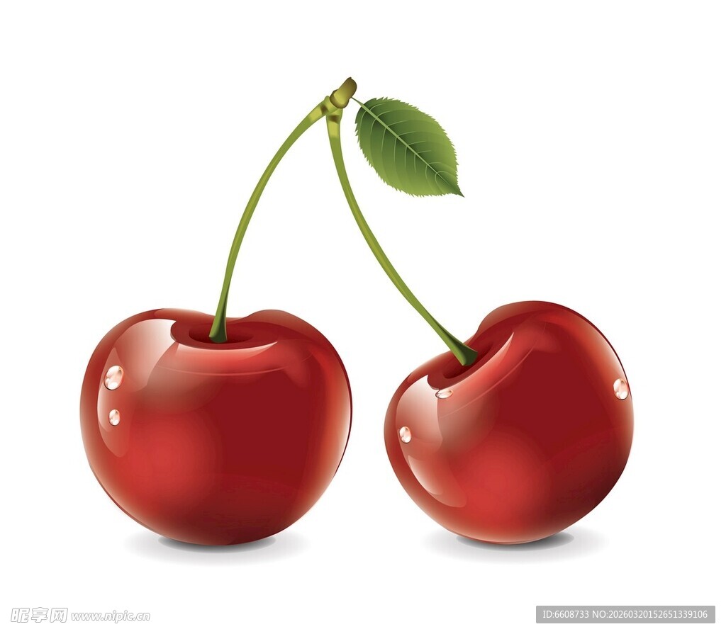 两颗鲜红饱满的甜樱桃