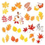 秋季多彩树叶及装饰图案