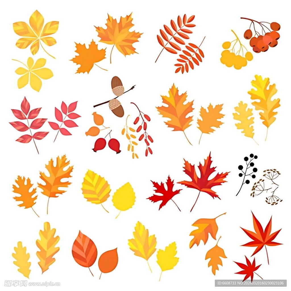秋季多彩树叶及装饰图案
