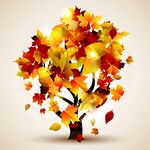 秋日梦幻彩叶树