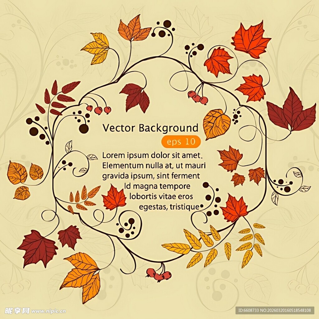 秋季花卉树叶装饰背景图