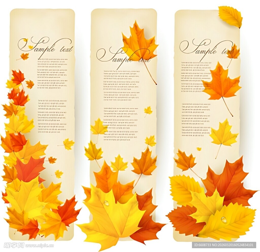 秋季落叶主题横幅设计