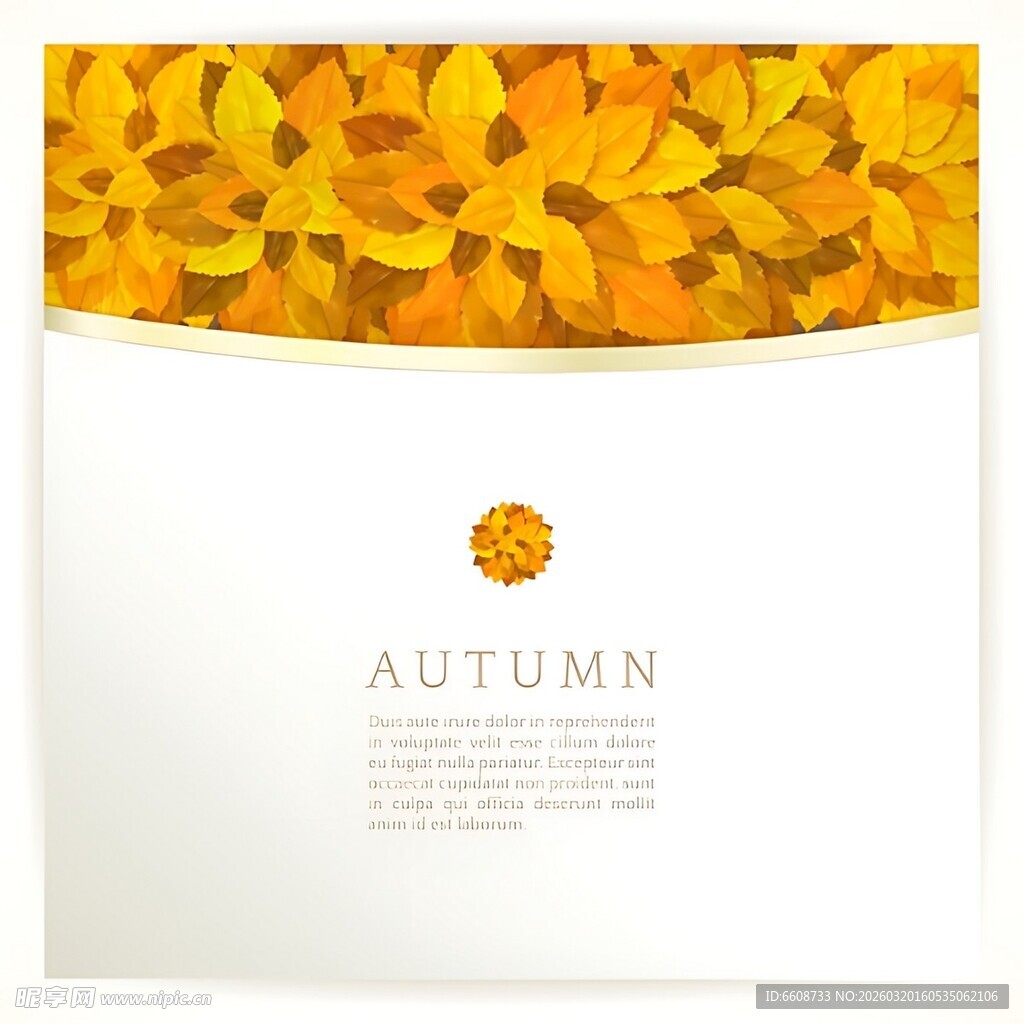 秋季花卉主题简约背景图