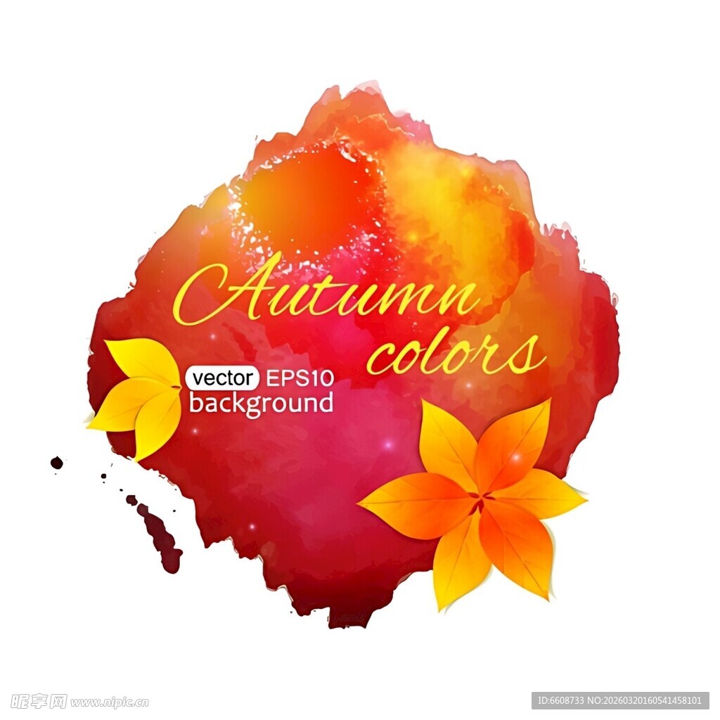 秋季色彩水彩画与花朵