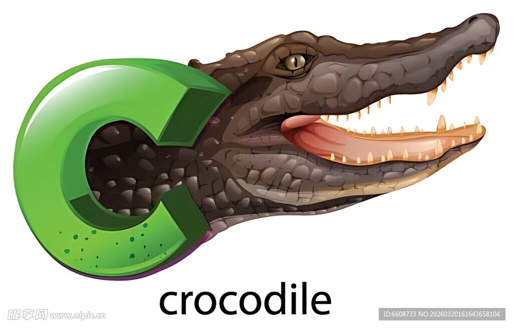 绿色卡通鳄鱼形象