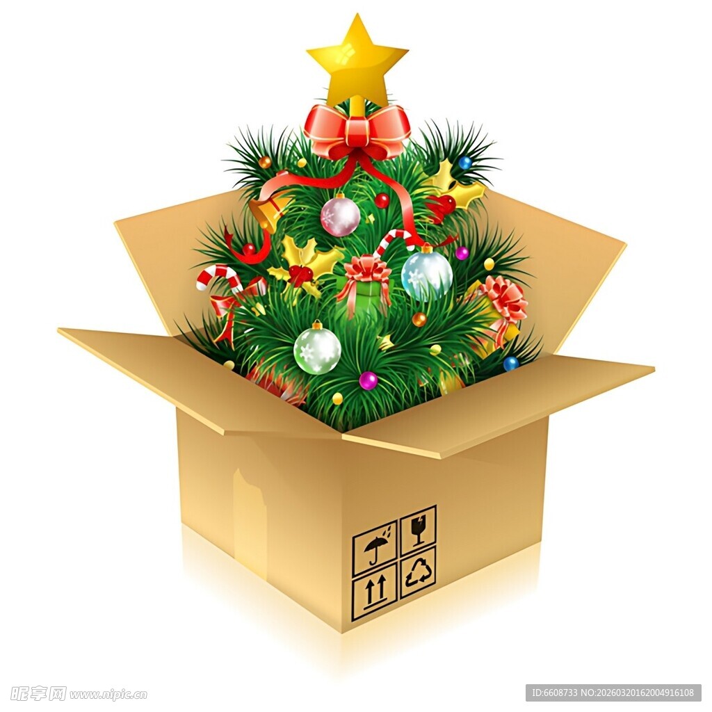 礼盒中的迷你圣诞树