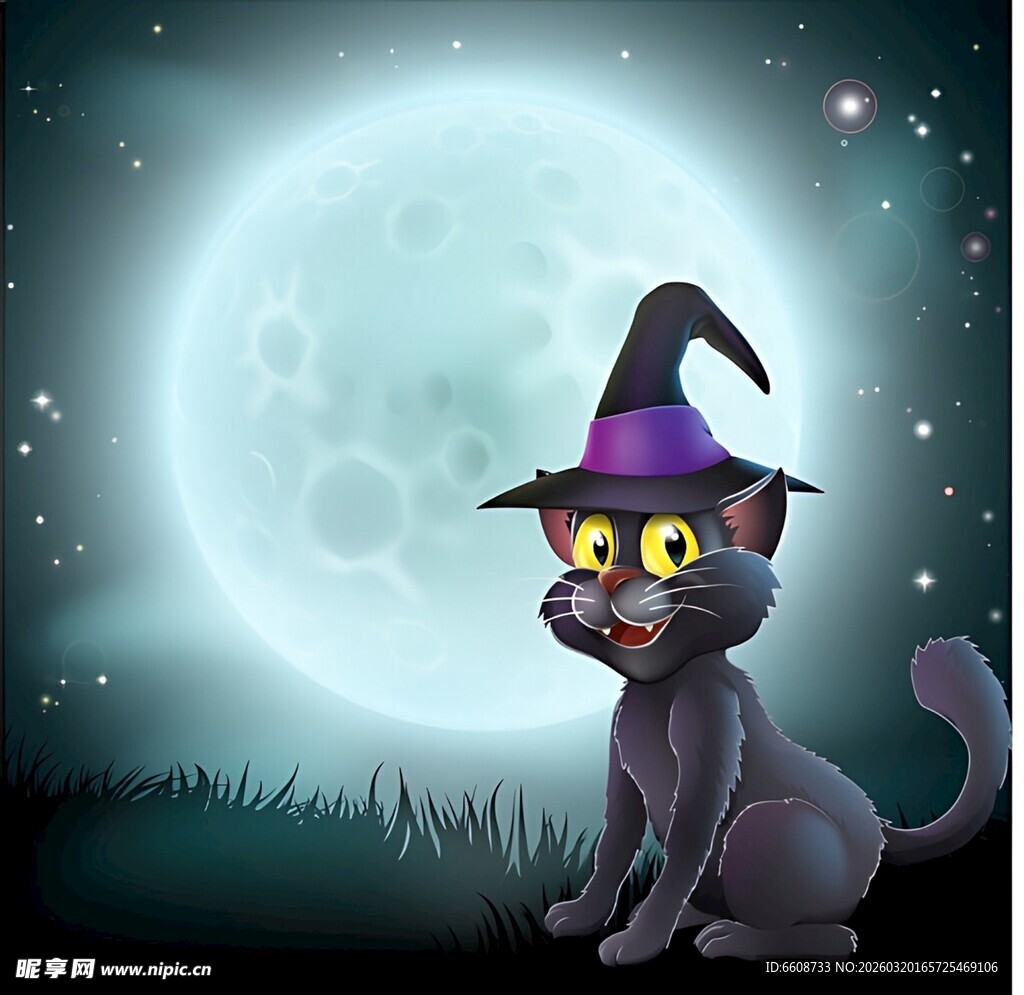 月夜下的魔法黑猫