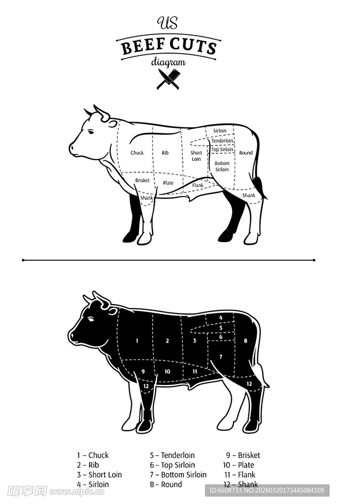 牛的解剖部位示意图