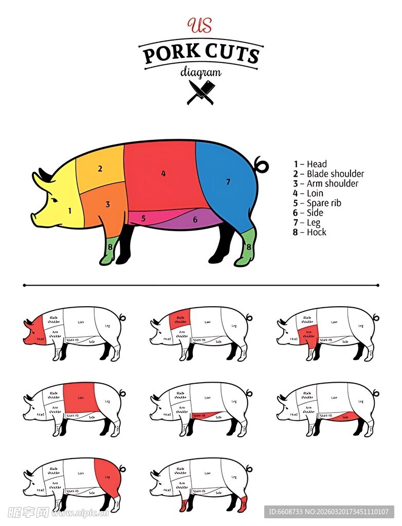 猪的分割示意图