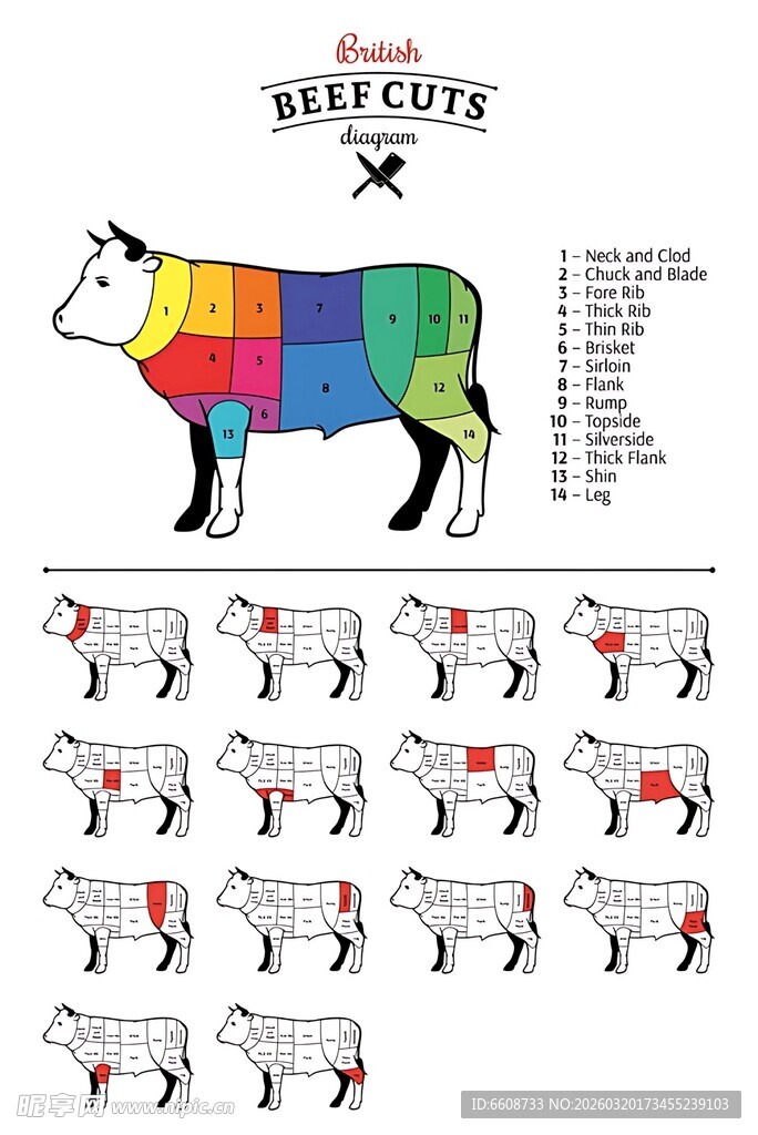 彩色牛图案设计素材