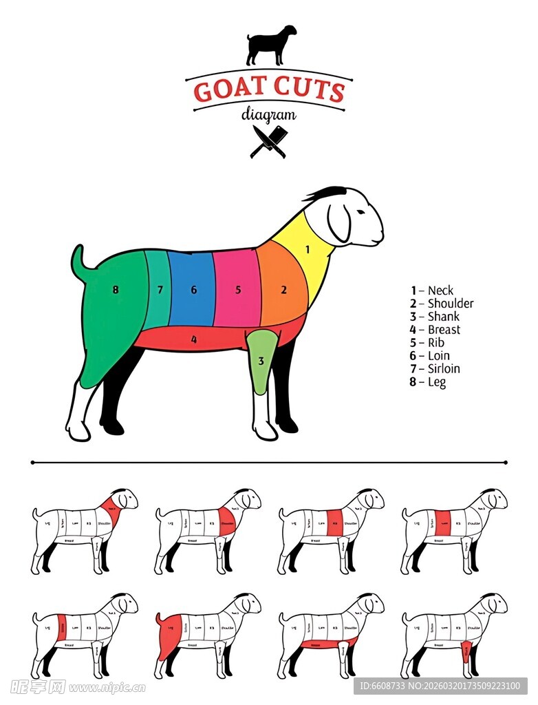彩色拼布风格绵羊图案设计
