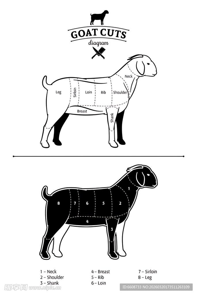 山羊身体结构示意图