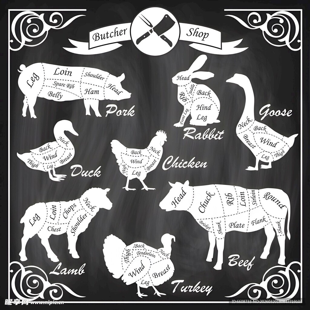 农场动物分割示意图