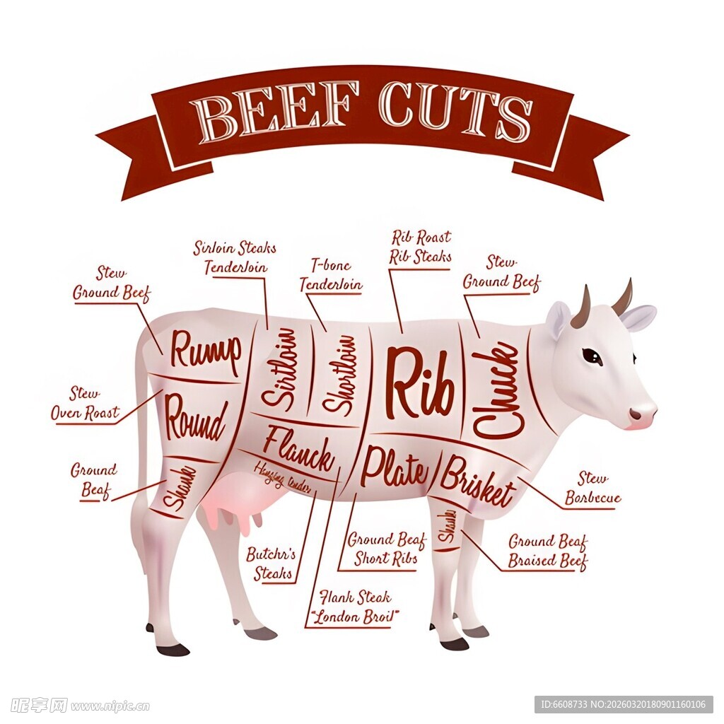 牛肉各部位图示