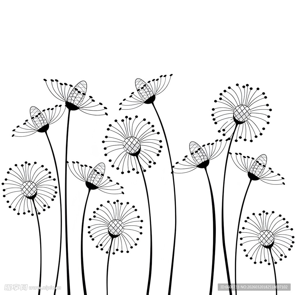 简约线条风雏菊花插画