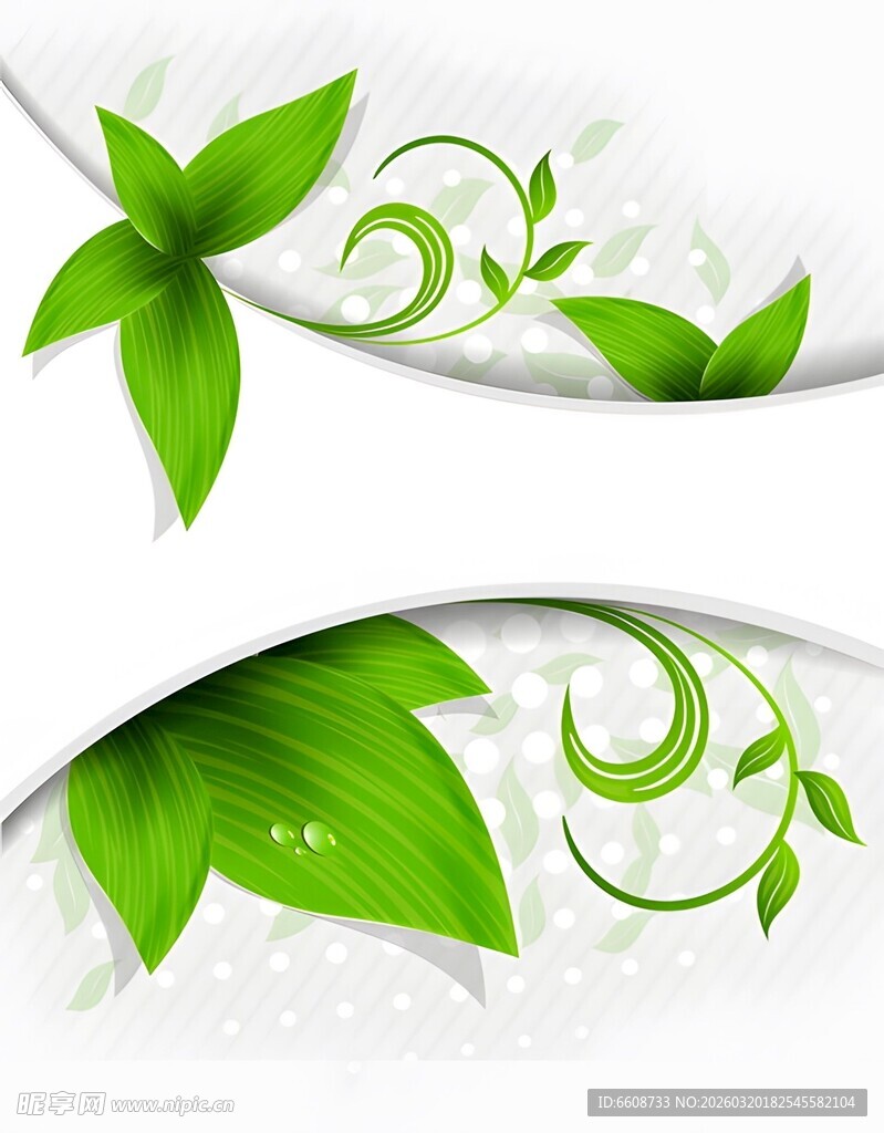 清新绿叶装饰背景图