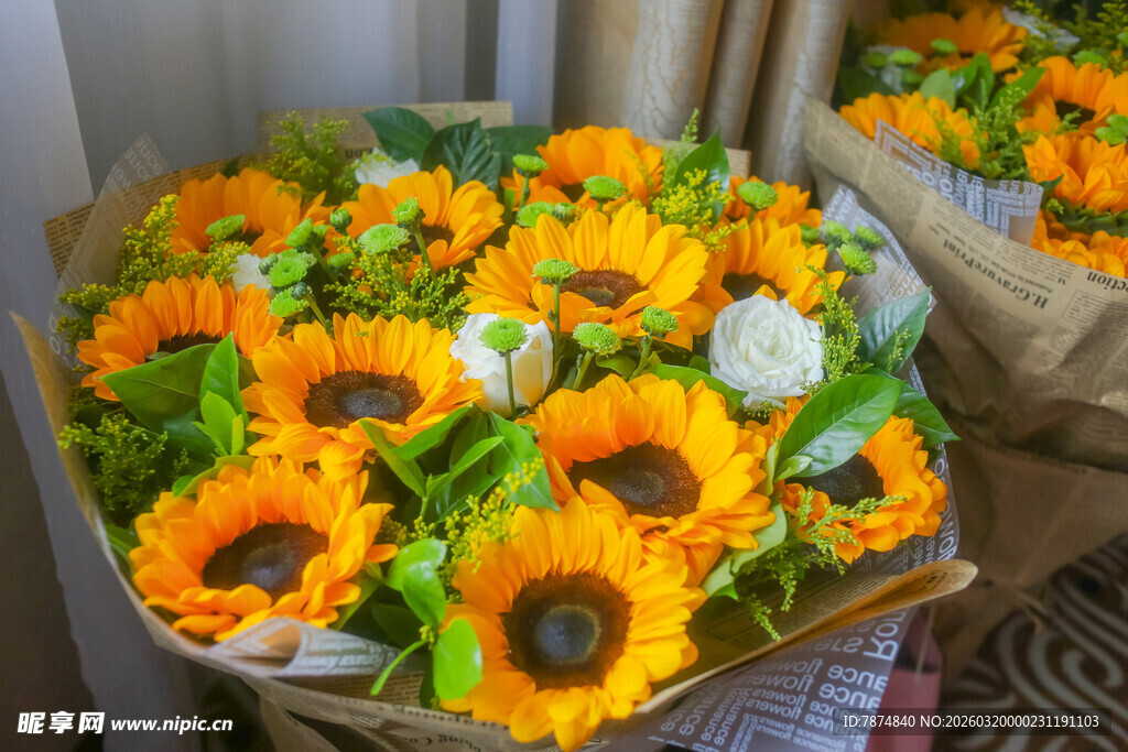 鲜艳向日葵花束展示