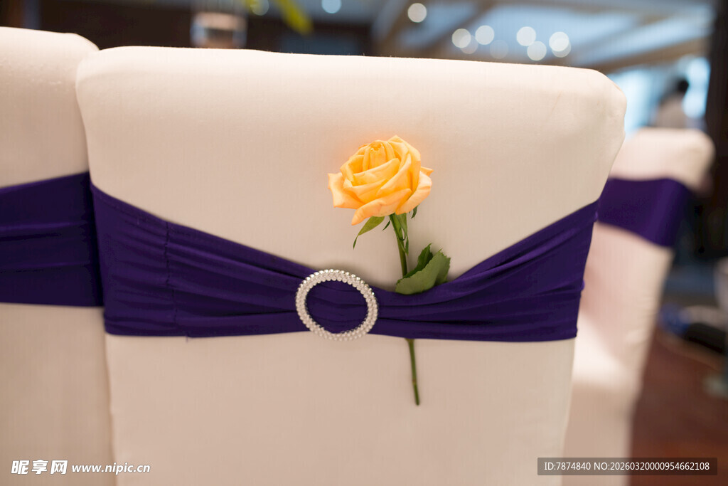 紫色椅饰配黄色玫瑰