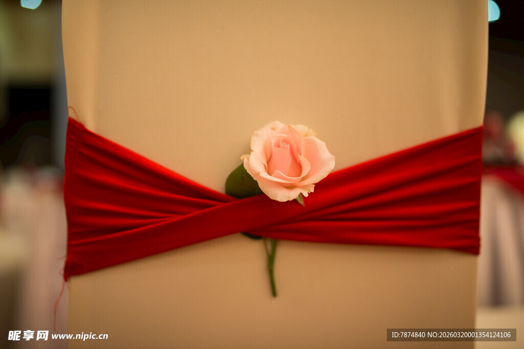 红绸上的粉色娇艳玫瑰