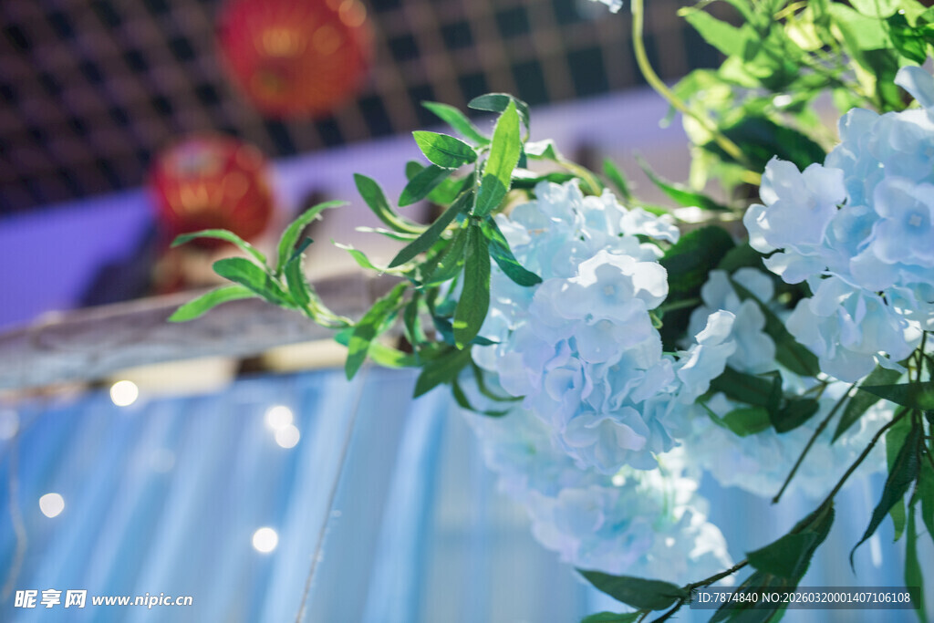 清新白色花卉装饰